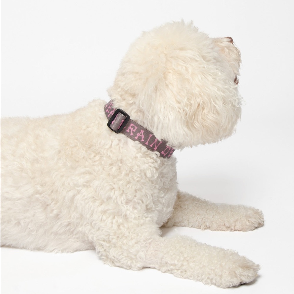 Brain Dead Dog Collar
